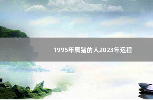 1995年属猪的人2023年运程