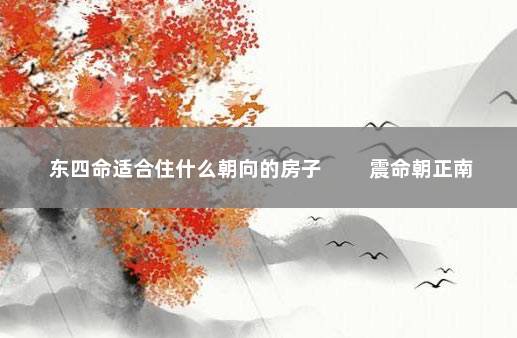 东四命适合住什么朝向的房子 　　震命朝正南