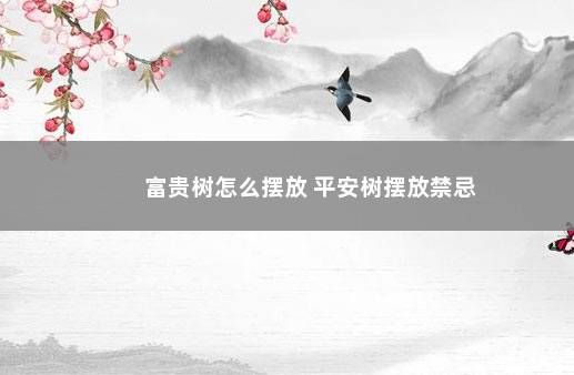 富贵树怎么摆放 平安树摆放禁忌