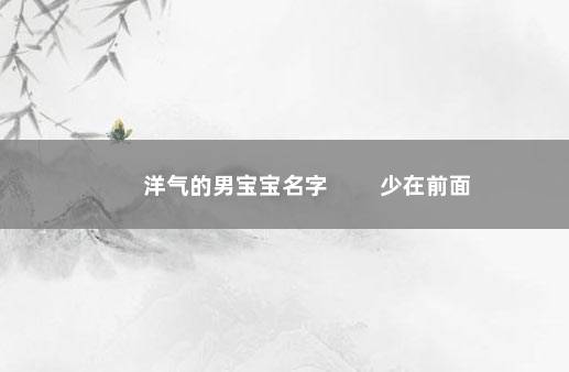 洋气的男宝宝名字 　　少在前面
