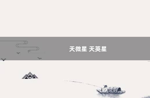 天微星 天英星