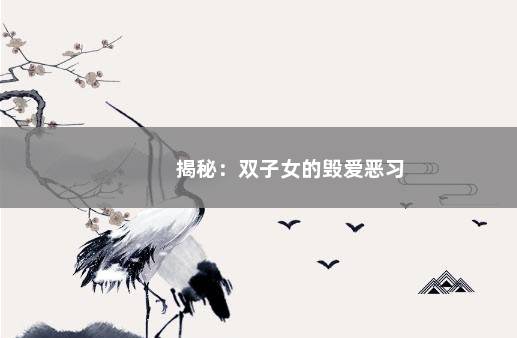 揭秘：双子女的毁爱恶习