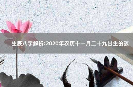 生辰八字解析:2020年农历十一月二十九出生的孩子好吗 免费生辰八字农历