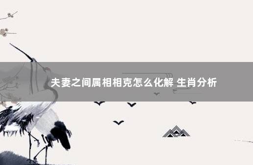 夫妻之间属相相克怎么化解 生肖分析