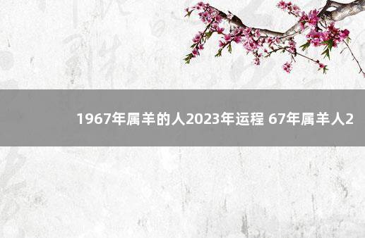 1967年属羊的人2023年运程 67年属羊人2023年的运势财运
