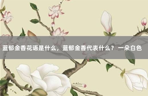 蓝郁金香花语是什么，蓝郁金香代表什么？ 一朵白色郁金香花语