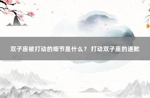 双子座被打动的细节是什么？ 打动双子座的道歉