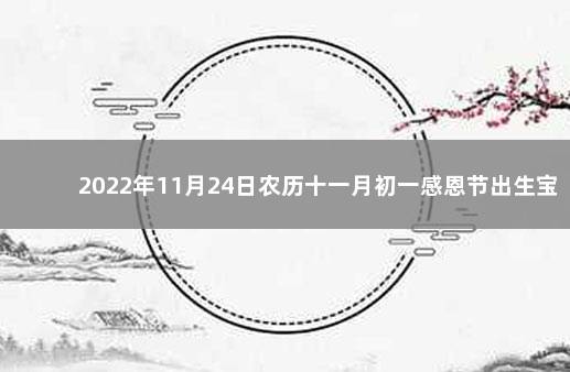 2022年11月24日农历十一月初一感恩节出生宝宝名字
