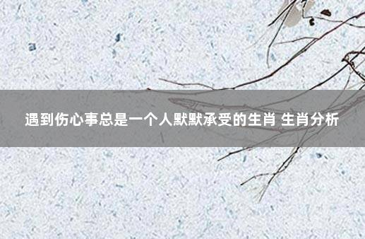 遇到伤心事总是一个人默默承受的生肖 生肖分析