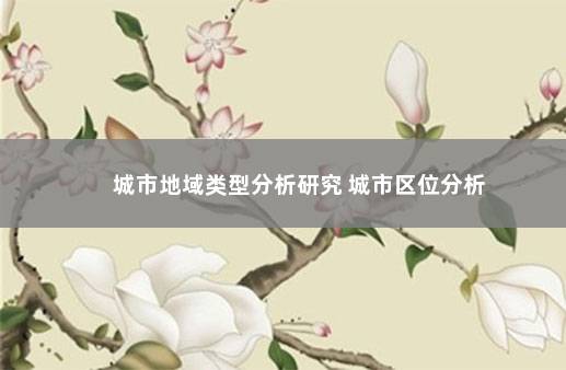 城市地域类型分析研究 城市区位分析
