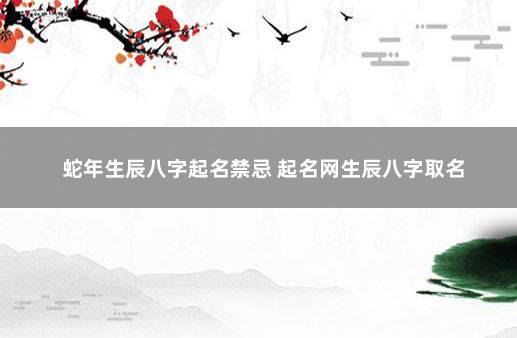 蛇年生辰八字起名禁忌 起名网生辰八字取名
