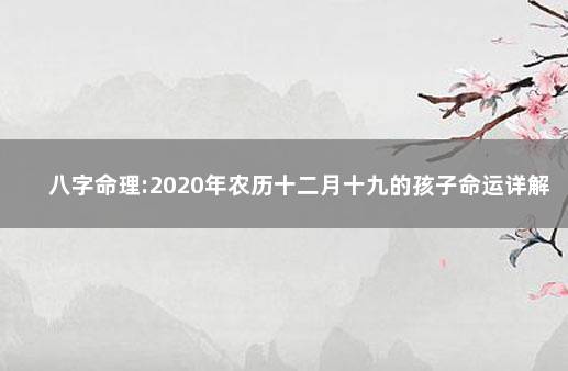 八字命理:2020年农历十二月十九的孩子命运详解 农历12月19日出生的人命运