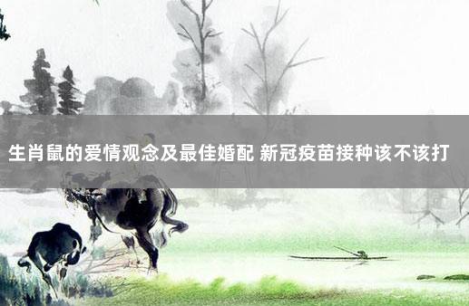 生肖鼠的爱情观念及最佳婚配 新冠疫苗接种该不该打