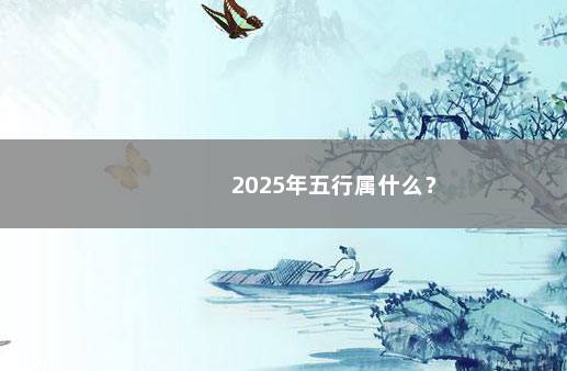 2025年五行属什么？