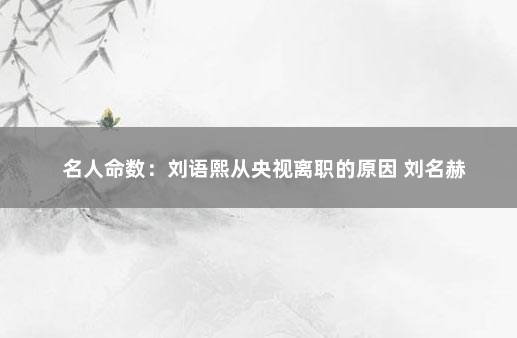 名人命数：刘语熙从央视离职的原因 刘名赫