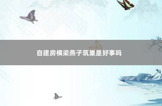 自建房横梁燕子筑巢是好事吗 　　