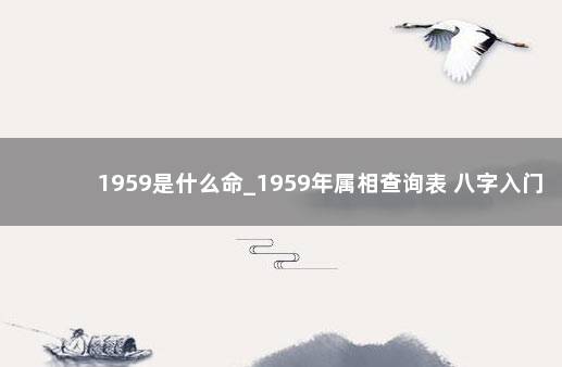 1959是什么命_1959年属相查询表 八字入门