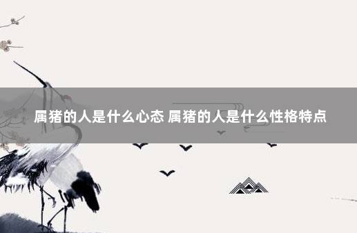 属猪的人是什么心态 属猪的人是什么性格特点
