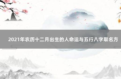 2021年农历十二月出生的人命运与五行八字取名方法揭秘 取名