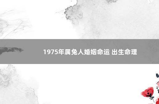 1975年属兔人婚姻命运 出生命理