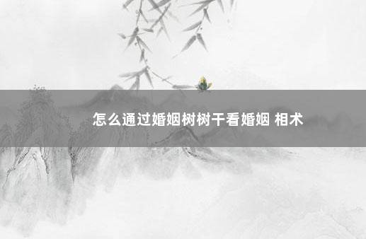 怎么通过婚姻树树干看婚姻 相术