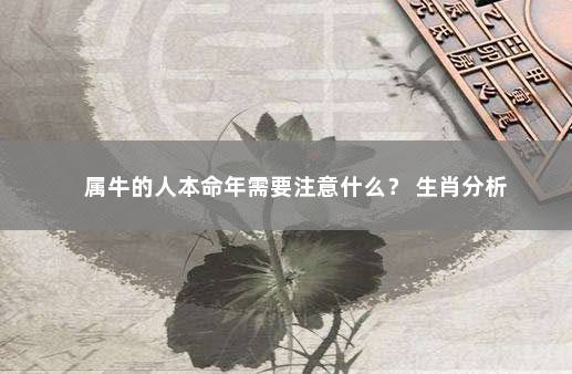 属牛的人本命年需要注意什么？ 生肖分析