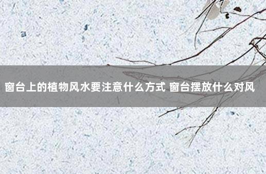 窗台上的植物风水要注意什么方式 窗台摆放什么对风水好