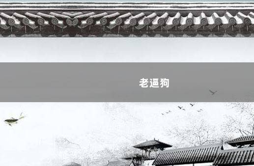 老逼狗