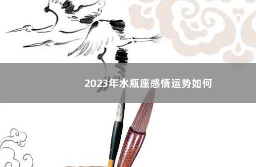 2023年水瓶座感情运势如何