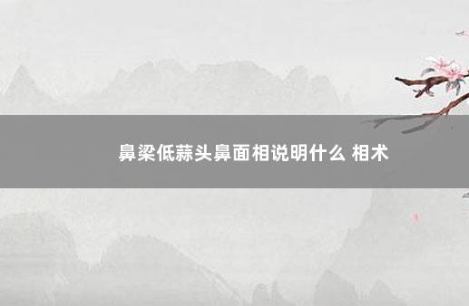 鼻梁低蒜头鼻面相说明什么 相术