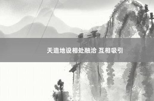 天造地设相处融洽 互相吸引