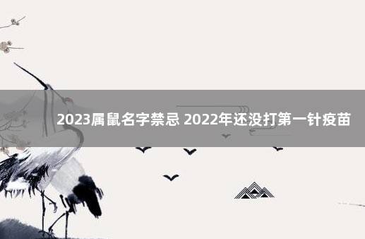 2023属鼠名字禁忌 2022年还没打第一针疫苗