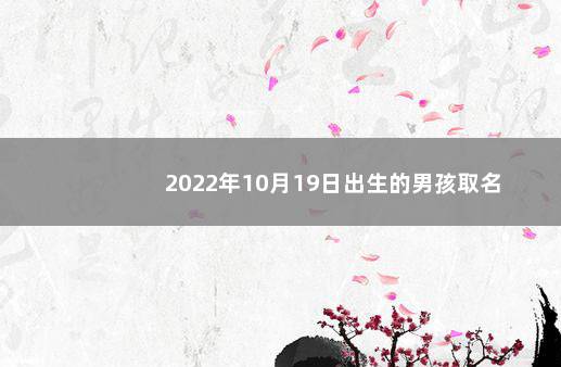 2022年10月19日出生的男孩取名