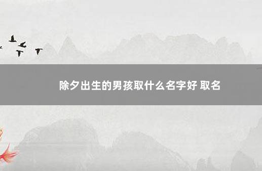 除夕出生的男孩取什么名字好 取名