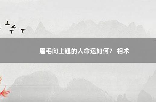 眉毛向上翘的人命运如何？ 相术