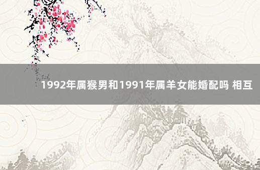 1992年属猴男和1991年属羊女能婚配吗 相互不理解