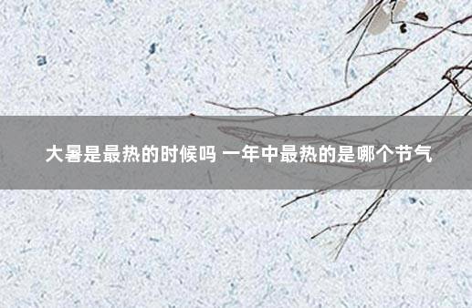 大暑是最热的时候吗 一年中最热的是哪个节气