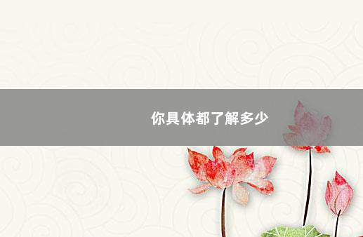 你具体都了解多少