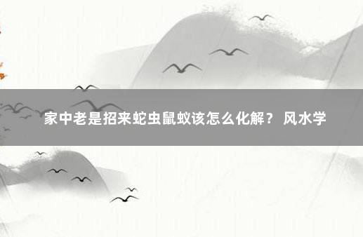 家中老是招来蛇虫鼠蚁该怎么化解？ 风水学