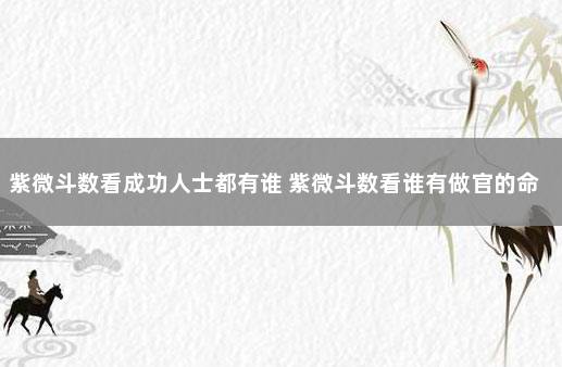 紫微斗数看成功人士都有谁 紫微斗数看谁有做官的命