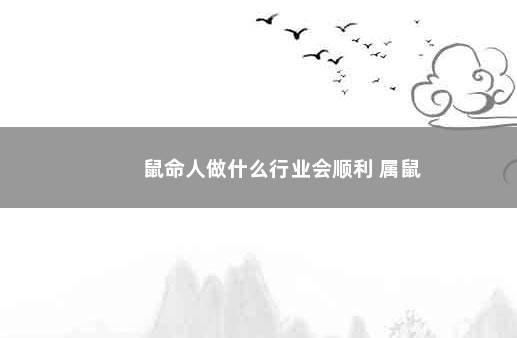 鼠命人做什么行业会顺利 属鼠