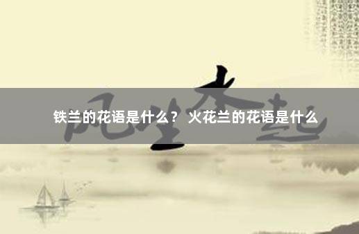 铁兰的花语是什么？ 火花兰的花语是什么
