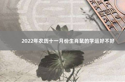 2022年农历十一月份生肖鼠的学运好不好