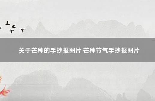 关于芒种的手抄报图片 芒种节气手抄报图片