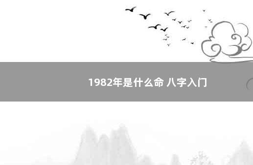 1982年是什么命 八字入门