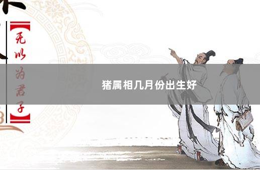 猪属相几月份出生好