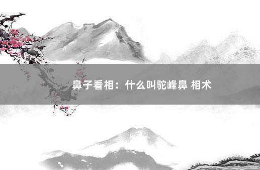 鼻子看相：什么叫驼峰鼻 相术