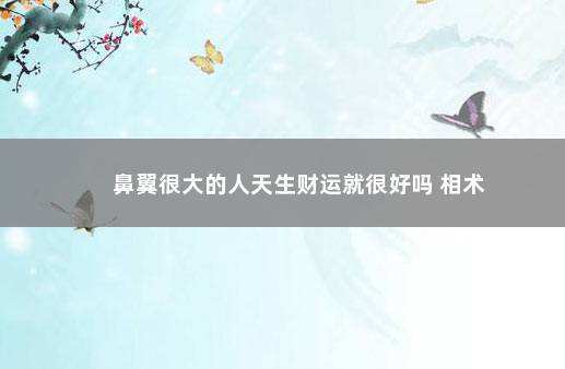 鼻翼很大的人天生财运就很好吗 相术