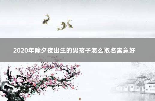2020年除夕夜出生的男孩子怎么取名寓意好 　　名字要包含父母的希望