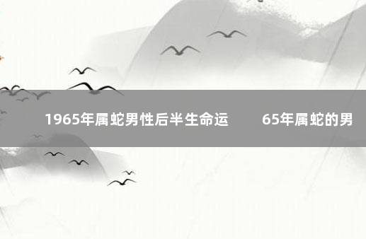 1965年属蛇男性后半生命运 　　65年属蛇的男人一生命运